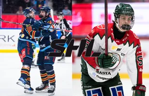 Ranking: SHL-lagen med bäst talangpool