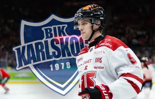 Karlskoga lånar från SHL: "Kommer att passa bra"