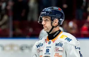 Uppgifter: Värvar från SHL-konkurrent