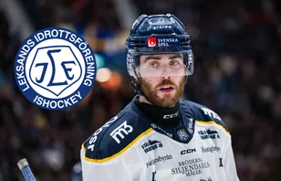 Leksand värvar allsvenska stjärnan: "Oerhört spännande"