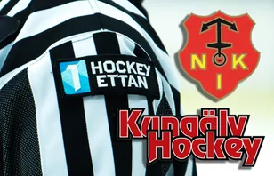 De tackar ja till platserna i Hockeyettan