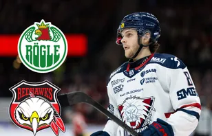 Uppgifter: Skåneklubbarna slåss om SHL-backen