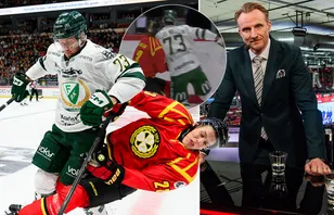 Experterna förklarar: "Ska inte vara någon utvisning"
