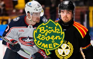 Björklöven vill värva hem toppbacken: "Gör ett vettigt försök"
