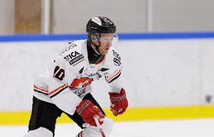 MJÖRNBERG: En föredömligt trist historia