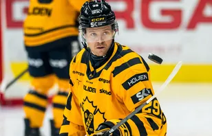 Mikkel Aagaard har utgående kontrakt med Skellefteå AIK. 