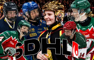 Talangerna att hålla koll på i SDHL