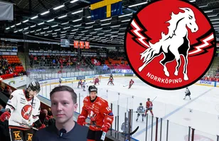 Haveriutredningen: Vita Hästen – därför blev det fiasko