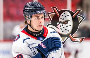 Herman Träff tar sikte på en NHL-plats.