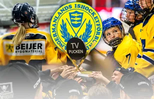 TV-pucken: Kommentarer om ALLA spelare – Ångermanland