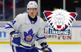 LHC agerar – värvar AHL-back