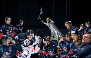 Hockeyettan spelare för spelare: Halmstad