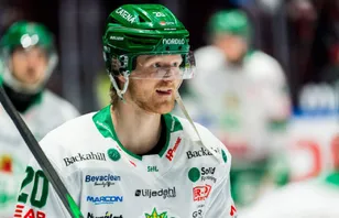 Tidigare SHL-stjärnans jättesuccé: "Allt är av högsta klass"