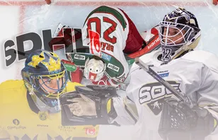 RANKING: SDHL:s fem bästa målvaktspar