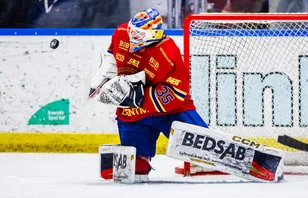 Han prisas som Årets Målvakt i SHL