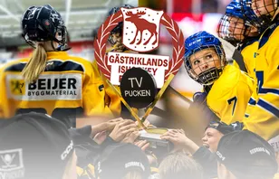 Gästrikland – kommentarer om ALLA spelare