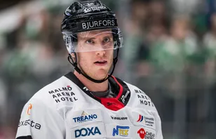 Uppgifter: Här är SHL-backens nya klubb