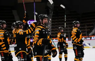 Efter förlustraden: Seger igen för Skellefteå AIK – 3–0 mot Djurgården