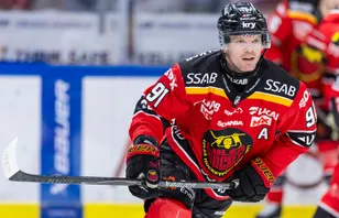 Luleå-stjärnan om usla trenden: "Galet – och pinsamt"