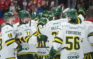 Ryck i sista perioden avgjorde för Björklöven borta mot Vimmerby