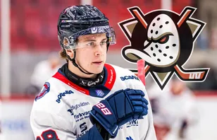 Skriver NHL-kontrakt - efter allsvenska succén