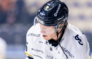 Första orden om Borgman: "Han kunde inte"