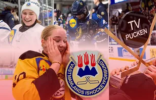 Västmanland – kommentarer om ALLA spelare