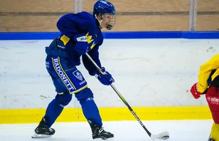 Svensken gör succé i USA - har hittat storformen