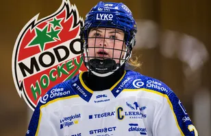 Leksands lagkapten går till MoDo