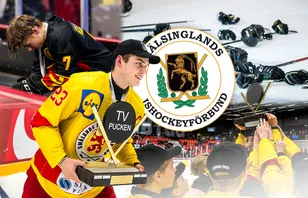 Hälsingland – kommentarer om ALLA spelare