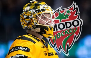 MoDo lånar SHL-målvakt: "Bra lösning"