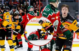 Luleå-spelarna rasar: "Domarna tappar matchen"