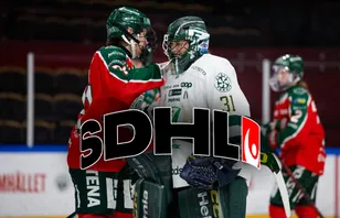 Så har SDHL-lagen agerat under silly season