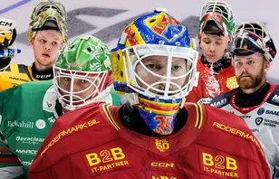 Hockeysverige.se har röstat fram SHL:s bästa målvakter.