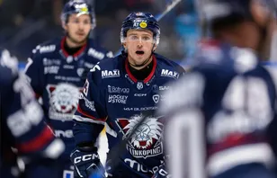 LHC:s besked – efter ryktena om stjärnan