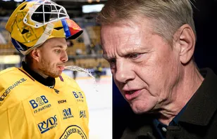 Wikegård svarar: "Dimper ner mejl från agenter"