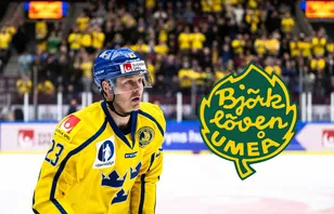 Landslagsstjärnans dröm – spel i allsvenska klubben