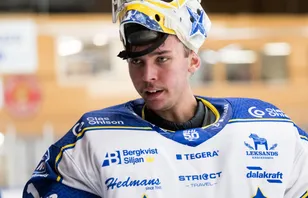 Leksandstalangen hamnade på sjukhus – efter myggattack