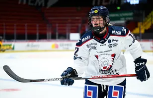 Stannar i LHC: "En viktig pusselbit"