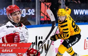 Blev heltidsproffs - som 28-åring