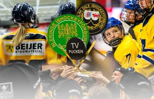 Blekinge/Bohuslän-Dal – kommentarer om ALLA spelare