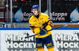 Eklund: "Kanske spelar i AHL nästa år"