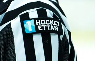 Hockeyettan har fått sina ändringar godkända.
