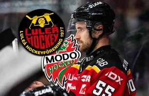 MoDo visar intresse för Luleå-backen