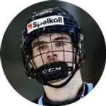 Arvid Drott