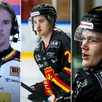 Tio värvningar i HockeyEttan – som gått under radarn