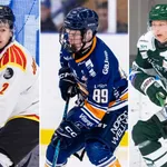 Tio väldigt viktiga kontraktsförlängningar i Hockeyettan