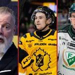 Pontus Johansson och Viktor Lodin är två av debutanterna i Grönborgs trupp.