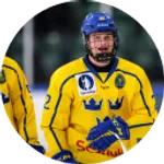 Karl Sterner