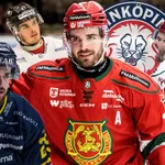 Arvid Degerstedt har tagit sig till SHL som 27-åring.